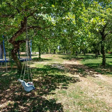 Bellavista Poletti Markovac